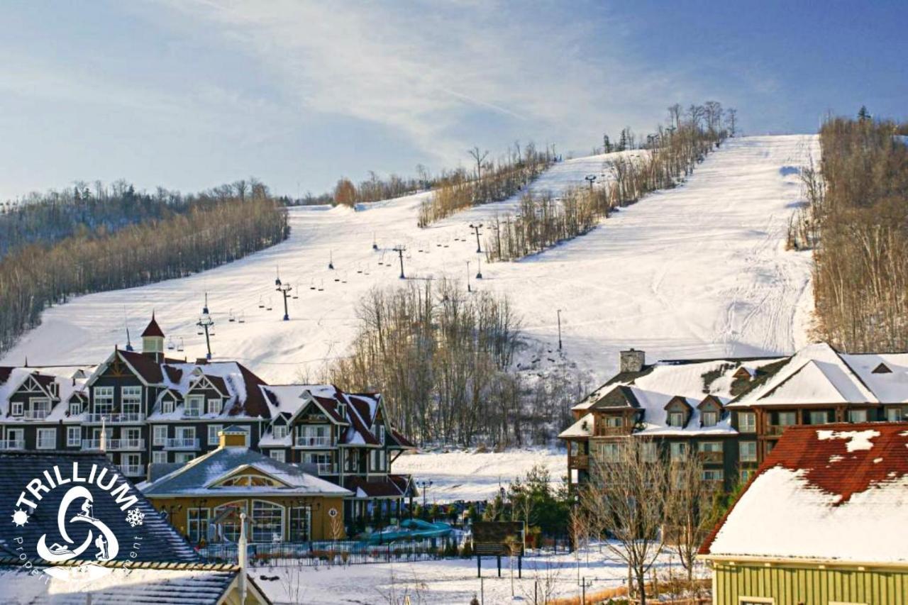 Mountainview Loft At North Creek Resort Blue Mountains Extérieur photo